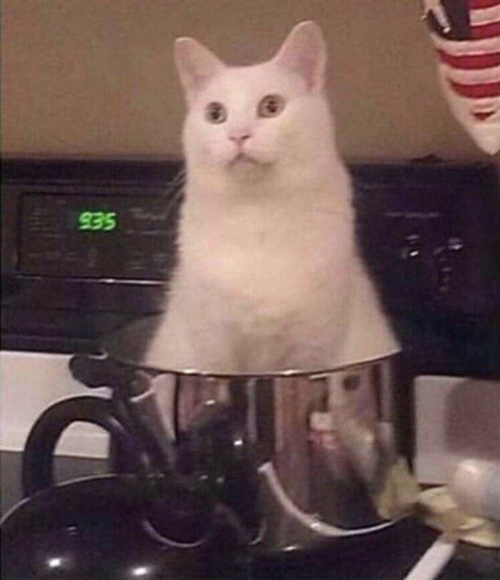 Cursed_stew