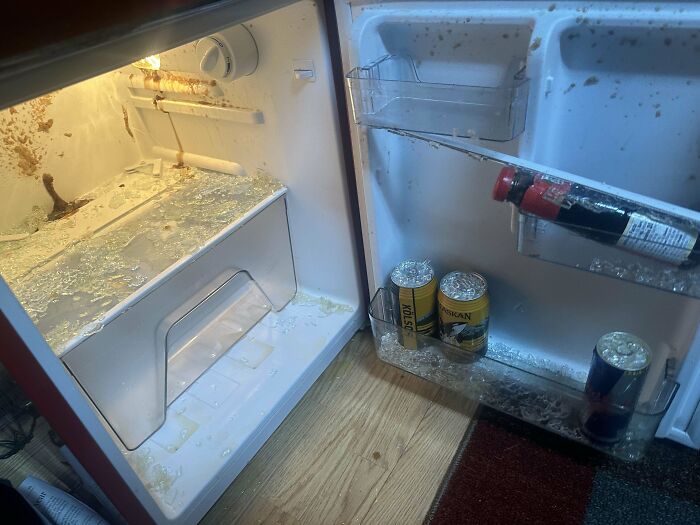 Dr Pepper Exploded In Our Mini Fridge And Obliterated The Shelf