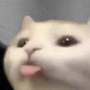 lillianstedem avatar