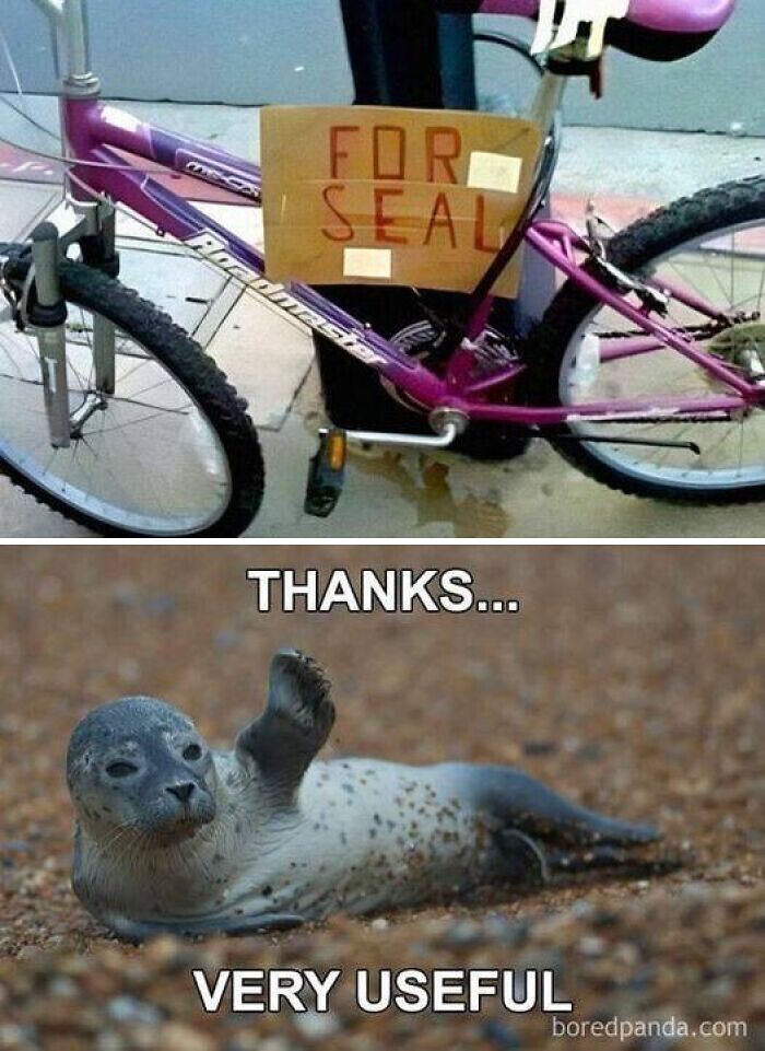 You-Had-One-Job-Fail-Pics