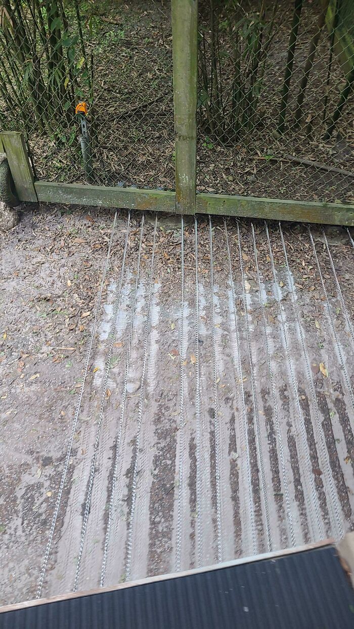 Metal spikes embedded in the ground in front of a wooden fence, resembling a mysterious outdoor object.