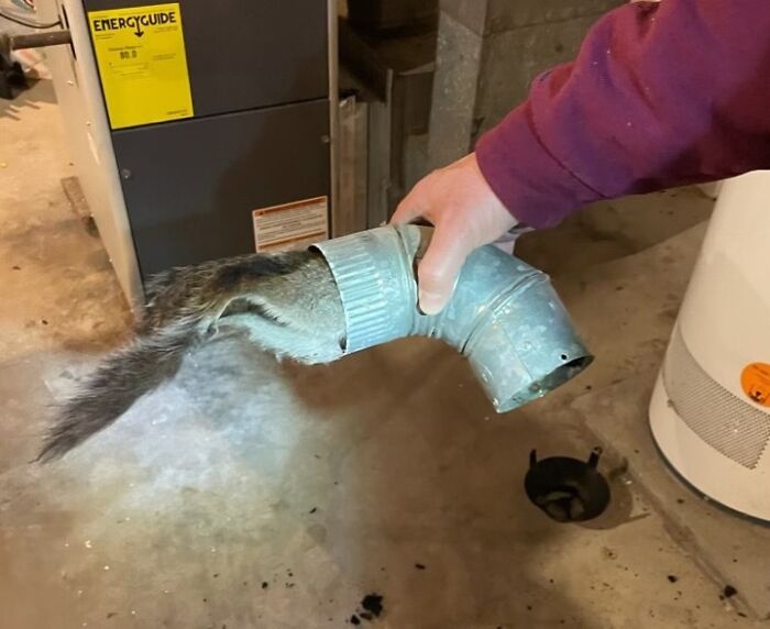 Found Out Why My House Started To Smell Every Time The Water Heater Turned On