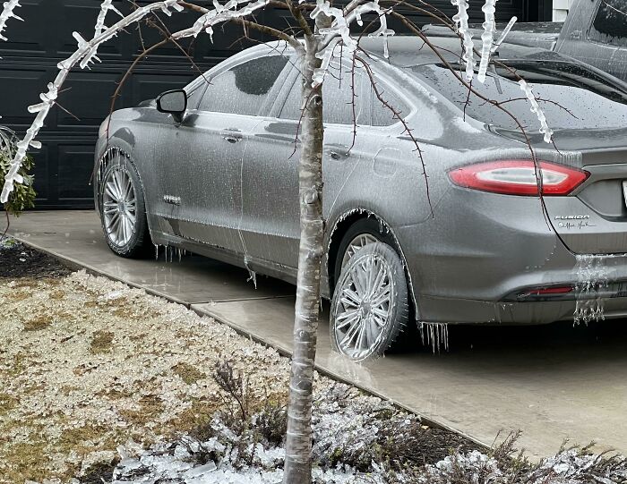 This Ice Wheel In My Neighborhood