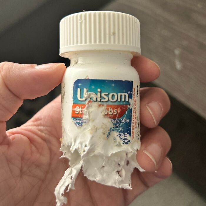 My Dog Snuck Off For A Few Minutes, Then Brought Me This