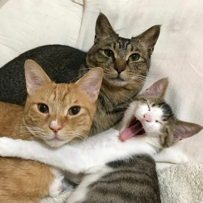 Luke, Mike And Michell Are Really Living Life