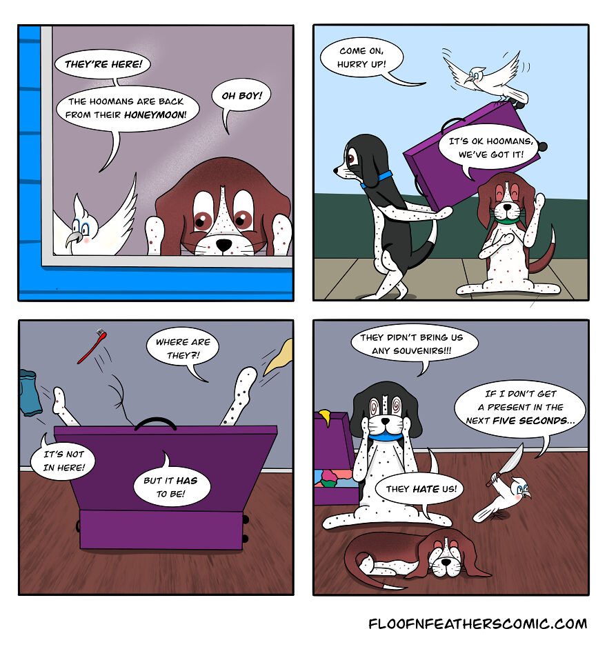 “Floof N’ Feathers”: Misadventures Of Mischievous Pets