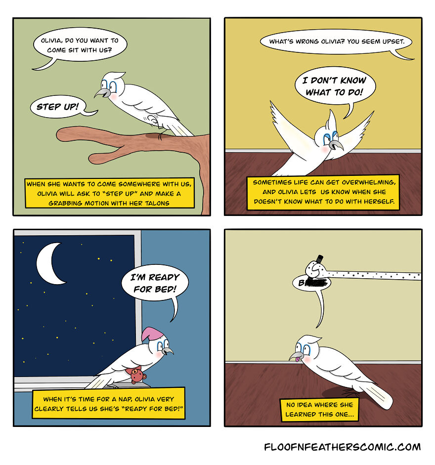 “Floof N’ Feathers”: Misadventures Of Mischievous Pets