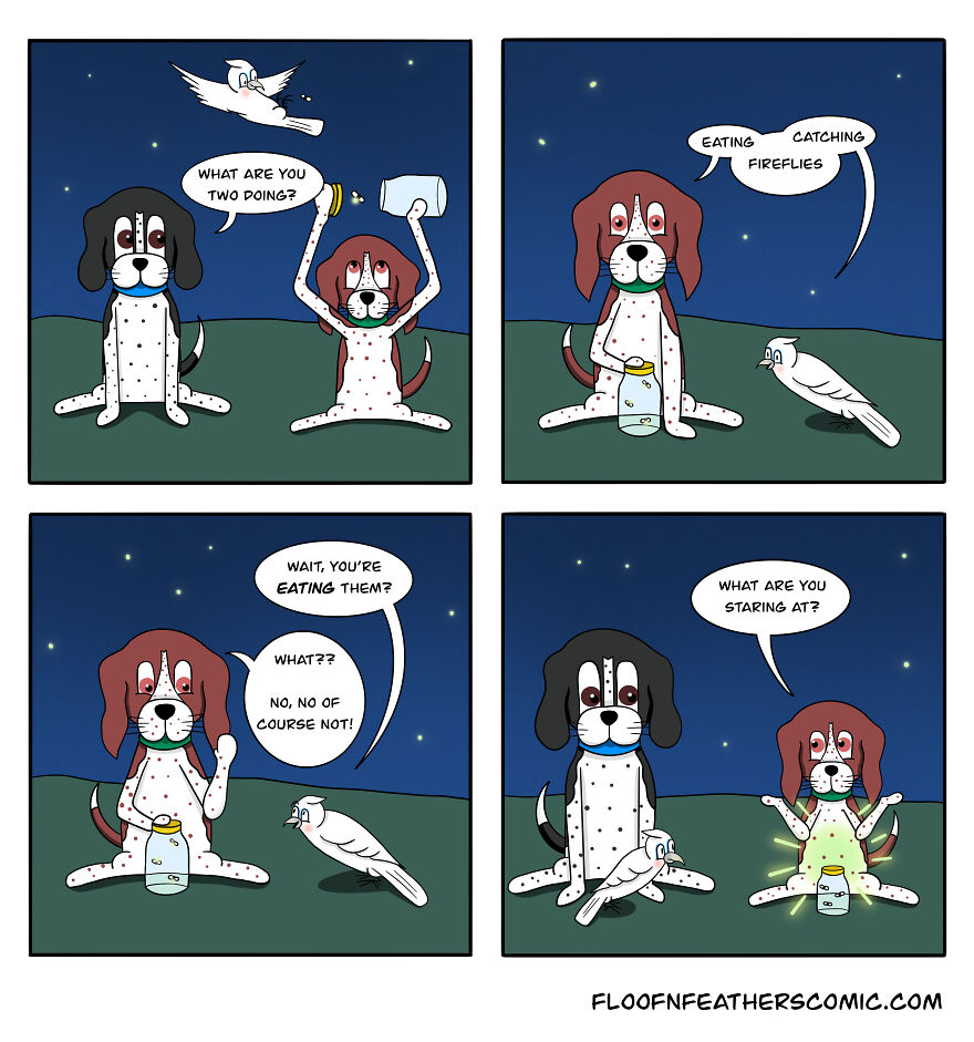 “Floof N’ Feathers”: Misadventures Of Mischievous Pets