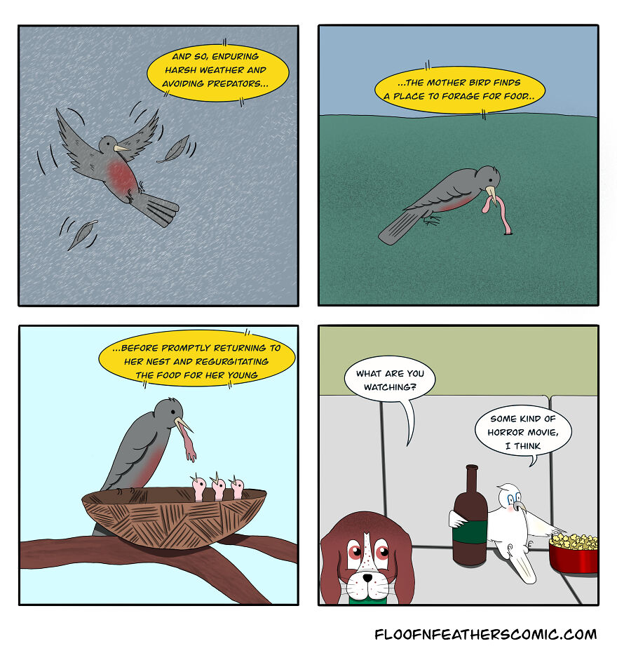 “Floof N’ Feathers”: Misadventures Of Mischievous Pets