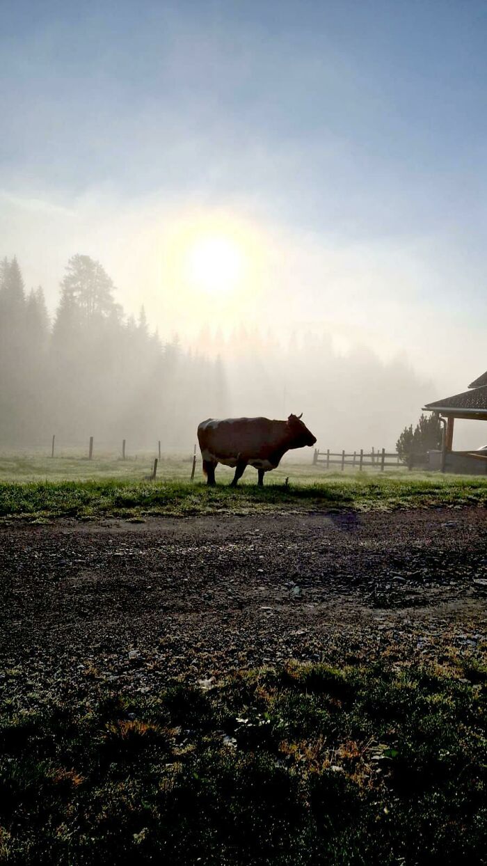 My Mom Took This Photo And I Think It's Awesome