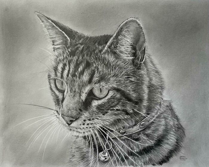 Decided To Surprise My Neighbours For Their Friendship With A Portrait Of Their Cat