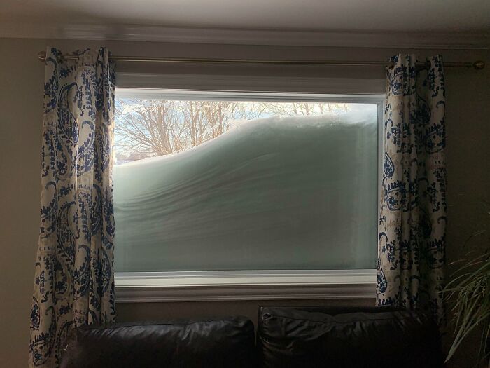 Newfoundland Snowbomb, 2020. (I Feared That If The Snow Completely Blocked The Outside World, My Children May Resort To Cannibalism When The Storm Chips Run Out)