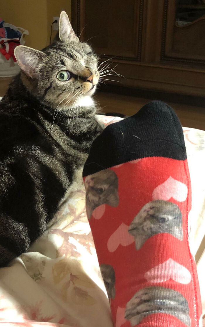 Best Valentine’s Day Gift Ever