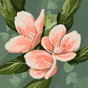 emmasherman_1 avatar