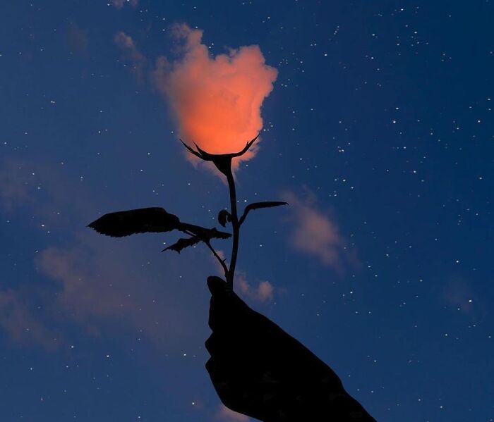 Modern-Design-Callitdesign