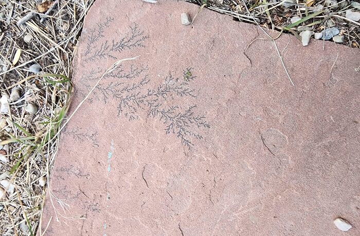Strange Pattern On A Stepping Stone Outside My Shed. Looks Like Electricity