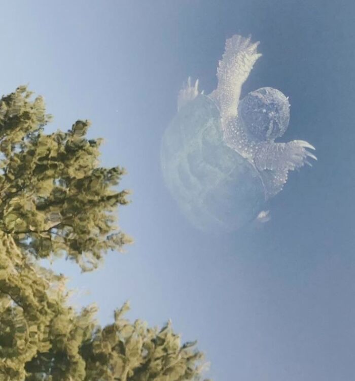 A Moon-Sized Turtle Orbiting The Earth, Or A Large Turtle In A Crystal-Clear Lake