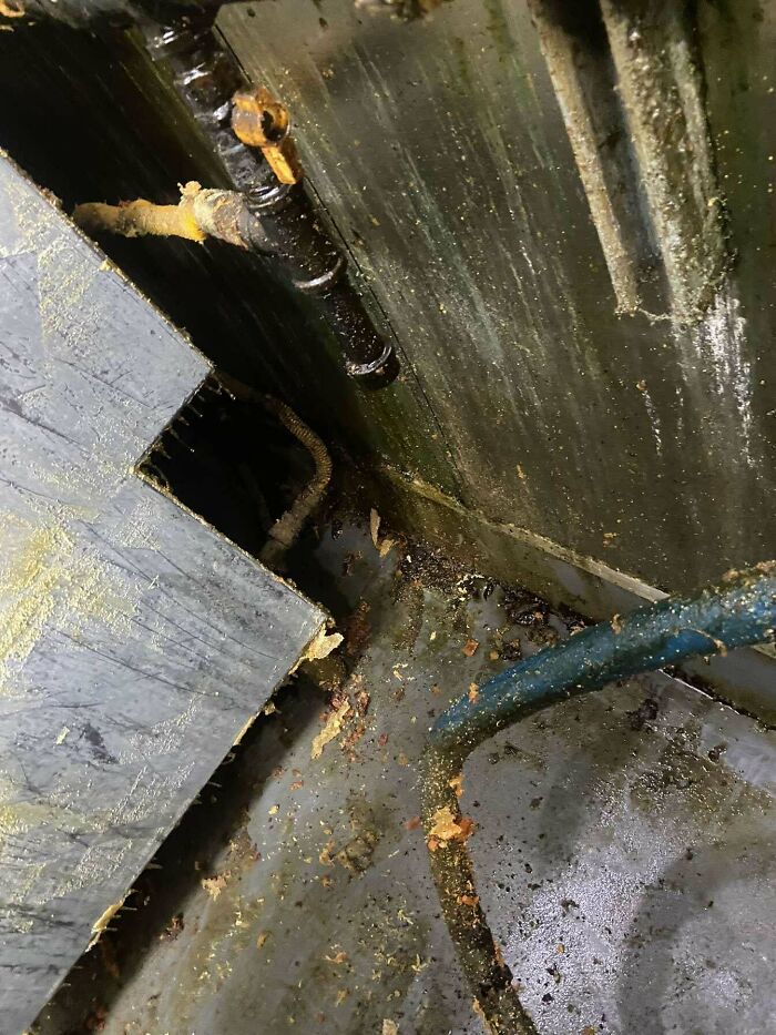 Put In My 2 Weeks Becuase Of Poor Working Conditions And Was Fired