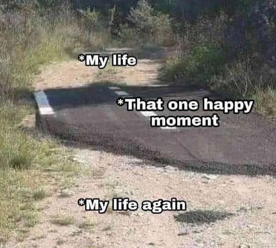 Queen-Of-Sarcasm-Memes