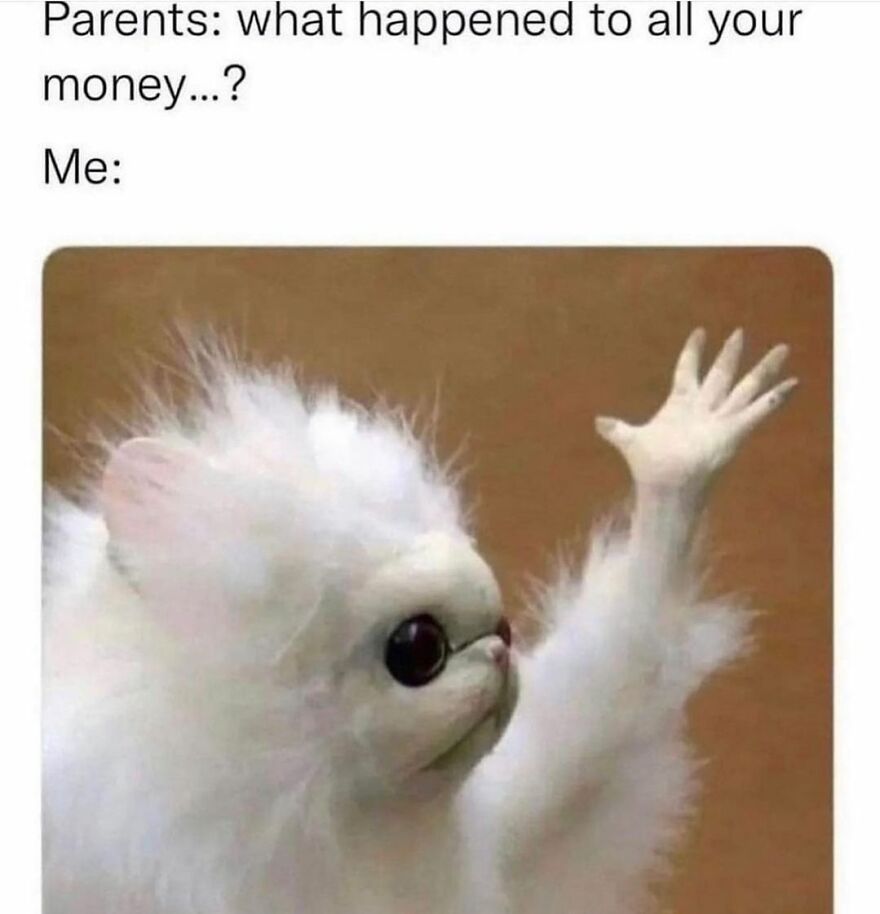 Queen-Of-Sarcasm-Memes