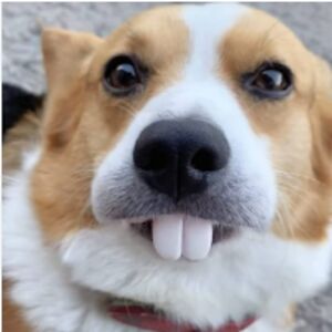 mollyrosenbloom avatar