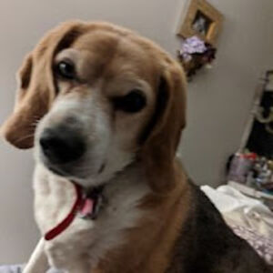 whittneyostberg avatar