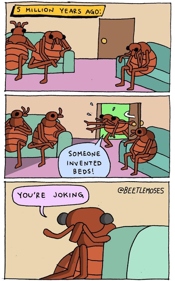 New Pop Culture Comics With Dark Humor Twists From The Mind Of Cartoonist Beetlemoses