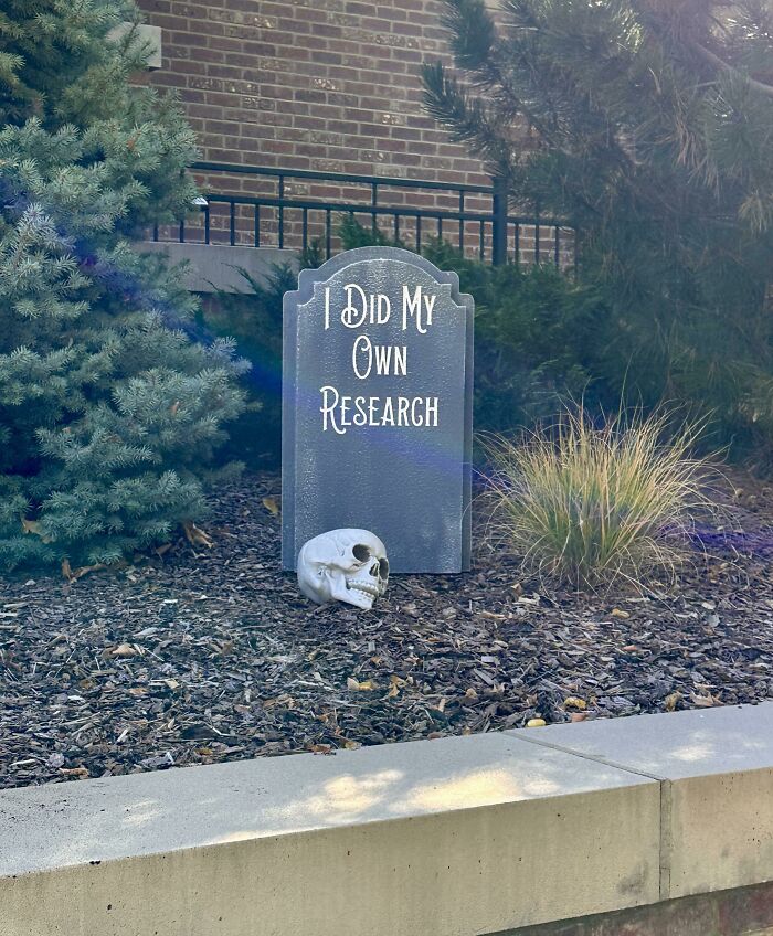 Hice mi propia investigación