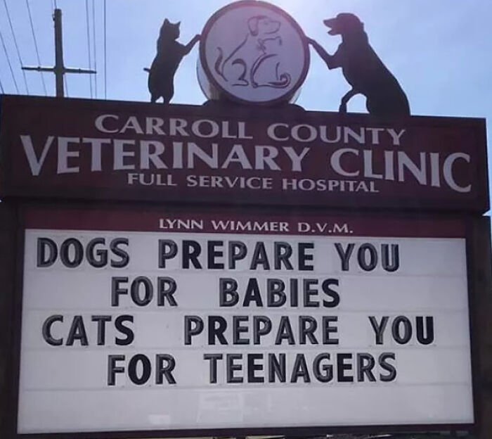 En una clínica veterinaria