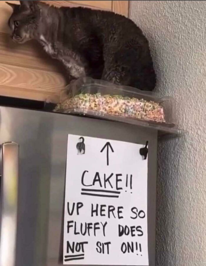 Tarta aquí arriba para que Fluffy no se siente en ella