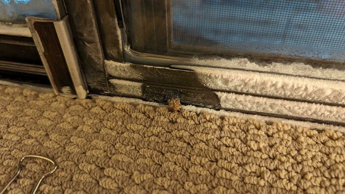 This Bug Stopped Part Of My Window From Freezing