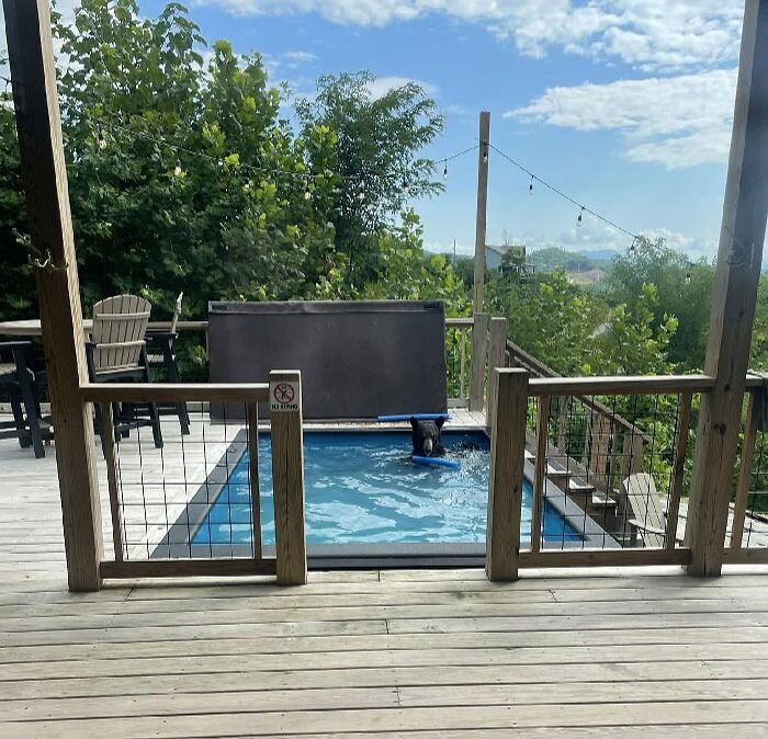 My Daughter Just Sent This From Her Vacation. It’s Been Unbearably Hot! She Deserves A Break. She Has Three Babies