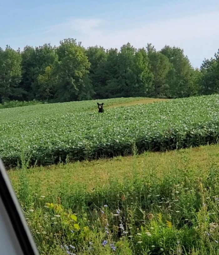 I'm Pretty Sure He Also Took A Photo Of Me And Posted It In The Group Cr*p Human Photography