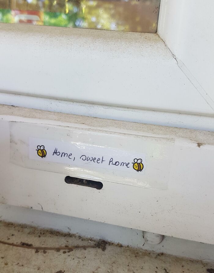 Husband Said We Have To Get Rid Of The Bees Living In The Metal Part Of Our Kitchen Window. I Don't Agree With Him