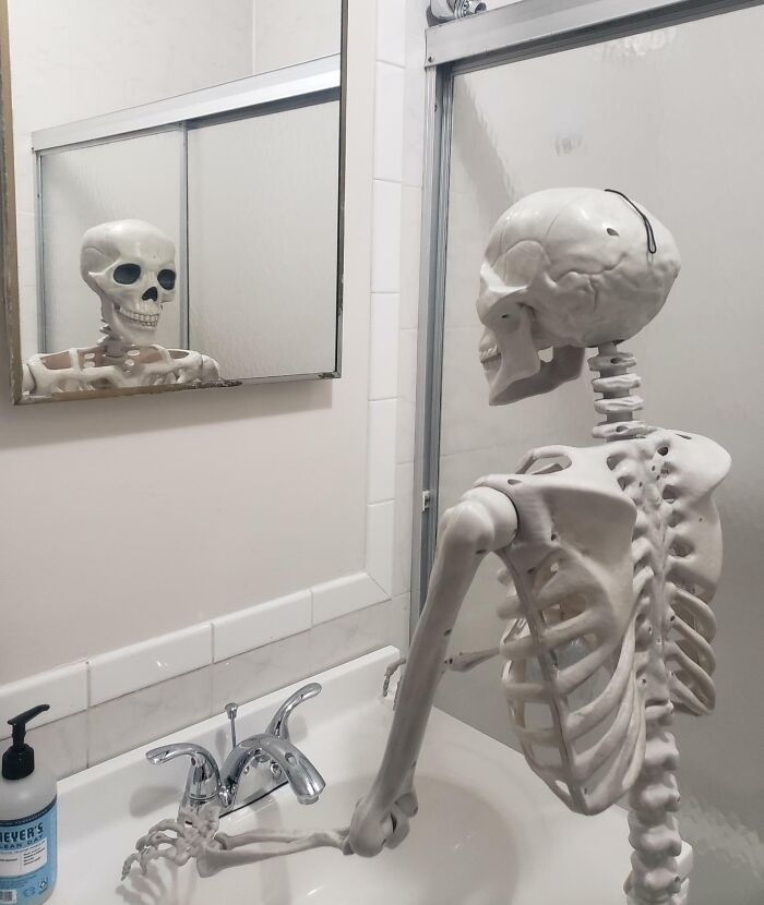 My Wife And I Have Been Placing A Skeleton We Brought In Different Situations For The Other One To Find. Needless To Say, This Is My Favorite One So Far