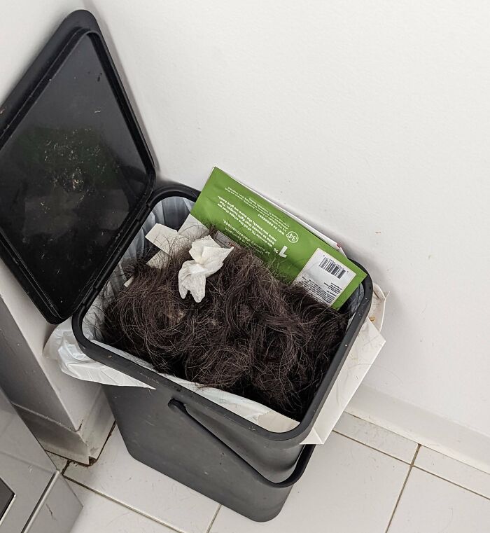 Wife Cut Her Own Hair Today, Almost Gave Me A Heart Attack Upon Opening The Trash Can