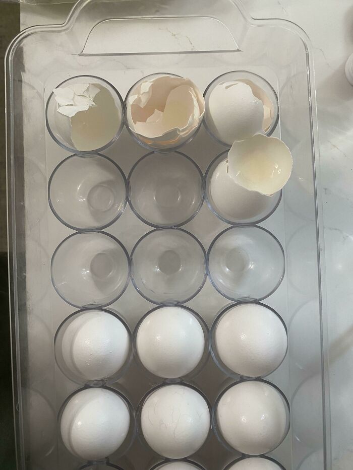 My Husband Always Puts The Empty Nasty Egg Shells Back In The Egg Holder Instead Of In The Garbage. 🤢