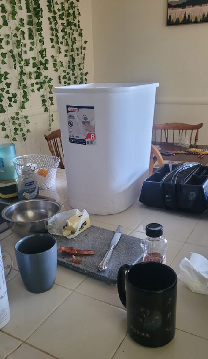 Instead Of Putting A Bag In The Trash My Husband Puts It On The Counter For Me