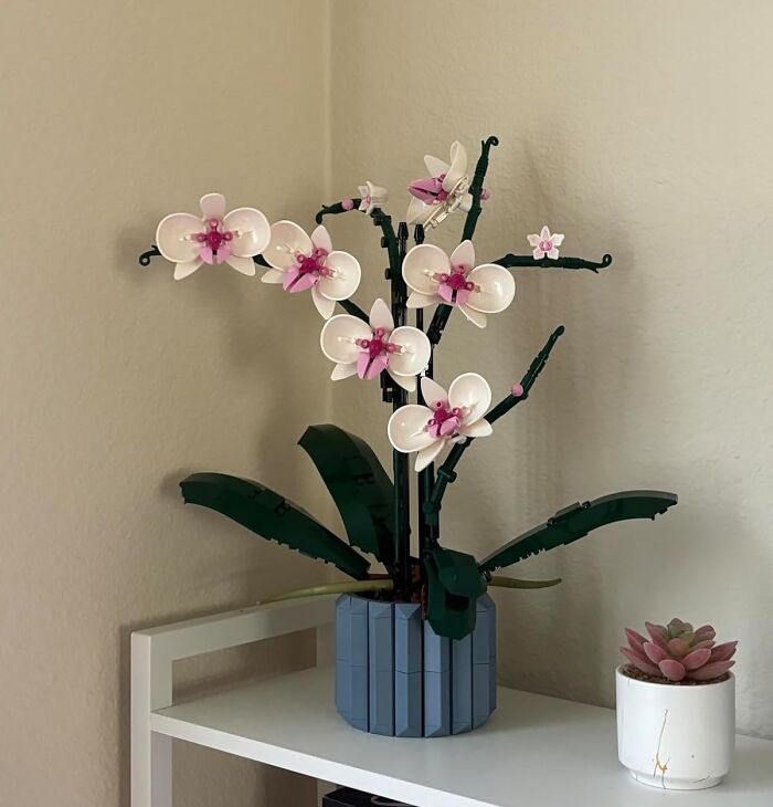 Who Needs A Green Thumb When You've Got LEGO? Gift Your Sweetheart This Quirky-Cute LEGO Orchid And Plant The Seeds For A Fun, Flowery Future Together