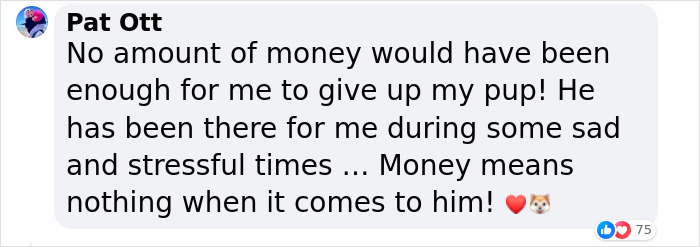 &ldquo;I Birthed Her&rdquo;: People Fume After Woman Turns Down $200k Offer From Stranger To Buy Her Dog