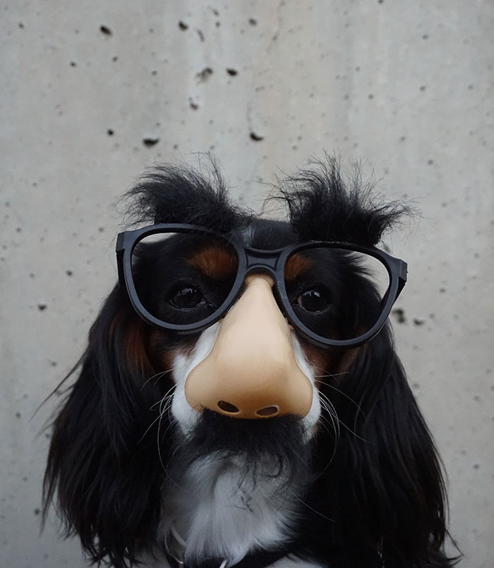 6 Traits That Indicate That You May Have Neanderthal DNA, According To Genetic Engineer 6 Traits That Indicate That You May Have Neanderthal DNA, According To Genetic Engineer