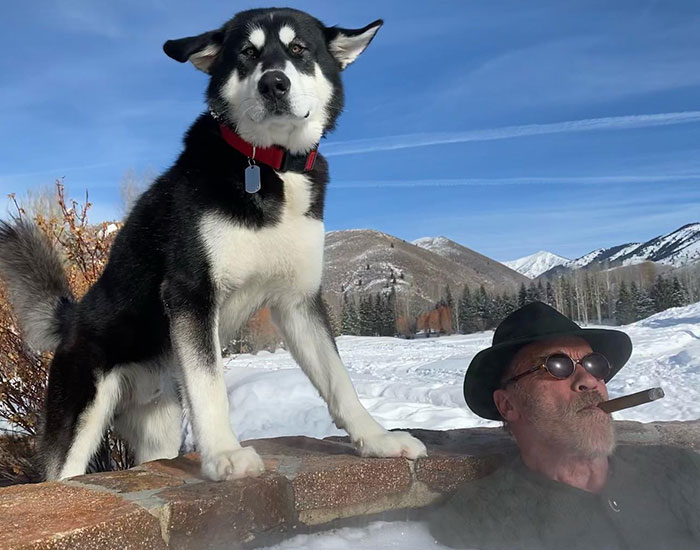 From Lulu The Donkey To Schnelly The Pig: Meet Arnold Schwarzenegger&rsquo;s Pet Paradise