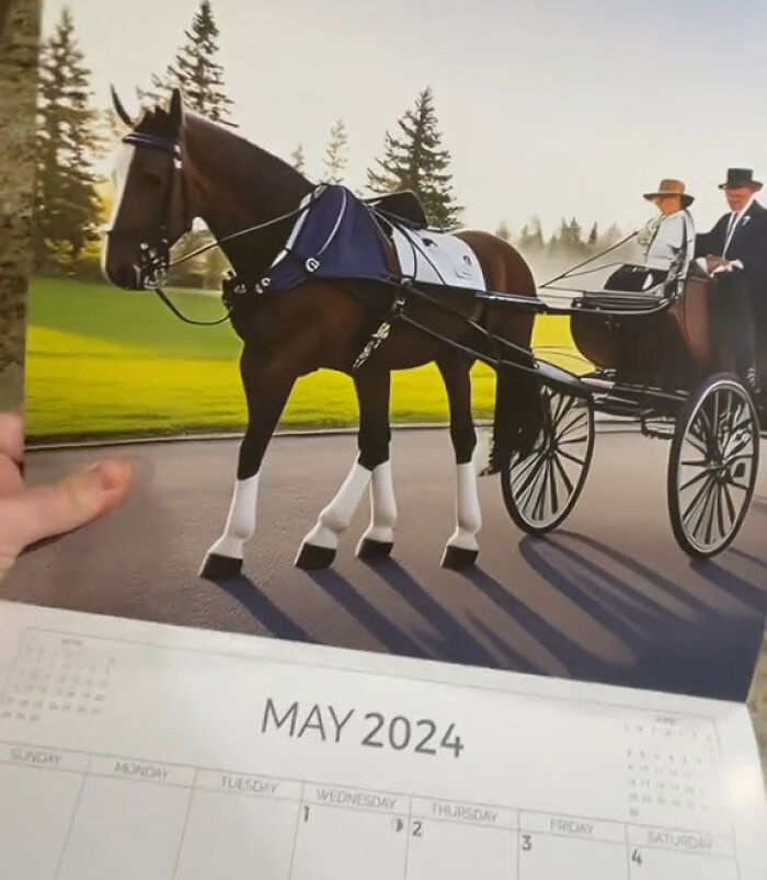 Esta mujer se compró un calendario con fotos de caballos, pero resultó ser demasiado extraño
