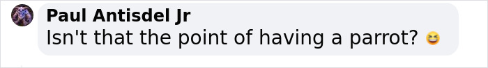 Rude Parrots That Can’t Stop Swearing Are In The Process Of Being Rehabilitated With New Flock Rude Parrots That Can’t Stop Swearing Are In The Process Of Being Rehabilitated With New Flock