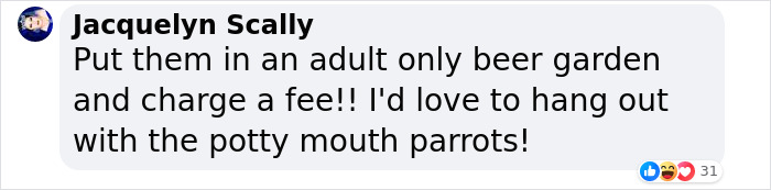 Rude Parrots That Can’t Stop Swearing Are In The Process Of Being Rehabilitated With New Flock Rude Parrots That Can’t Stop Swearing Are In The Process Of Being Rehabilitated With New Flock