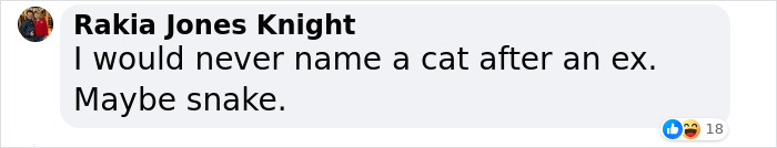 &ldquo;Some Things Shouldn&rsquo;t Breed&rdquo;: Animal Shelter Promotes A Hilarious Valentine&rsquo;s Day Campaign