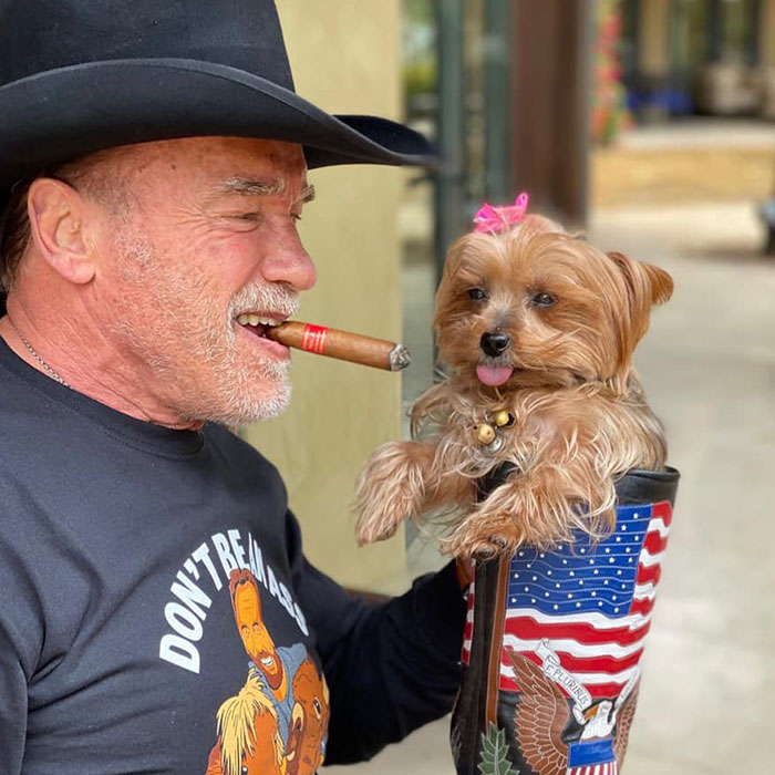 From Lulu The Donkey To Schnelly The Pig: Meet Arnold Schwarzenegger&rsquo;s Pet Paradise