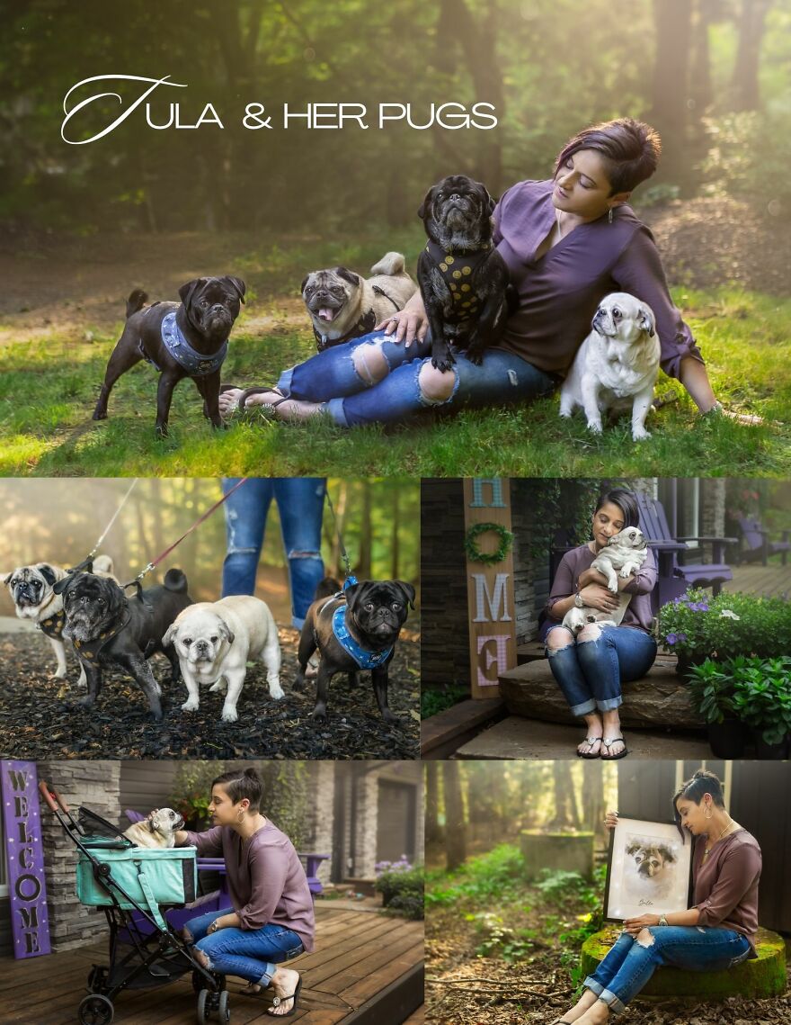 Celebrating Dogs & Their Humans