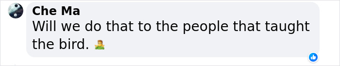 Rude Parrots That Can’t Stop Swearing Are In The Process Of Being Rehabilitated With New Flock Rude Parrots That Can’t Stop Swearing Are In The Process Of Being Rehabilitated With New Flock