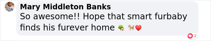 Police Makes “The Cutest Arrest Ever” After Dog Escapes Shelter And Tries To Free His Friends Police Makes “The Cutest Arrest Ever” After Dog Escapes Shelter And Tries To Free His Friends